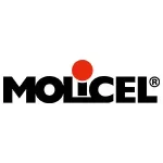 molicel baterias vape