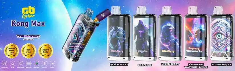 Kong Max 30K Blueberry Ice - 20mg Nic Refillable 1 Kong max 30k