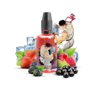 Seiryuto - Fighter Fuel by Maison Fuel Aroma 30ml