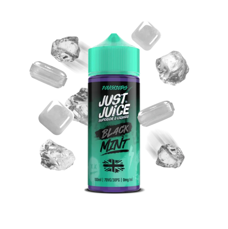 Black Mint Mint Just Juice 100ml