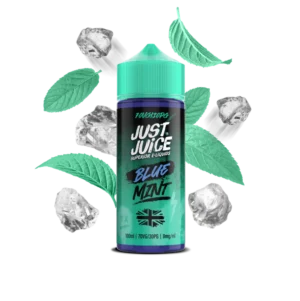 Blue Mint Just Juice 100ml