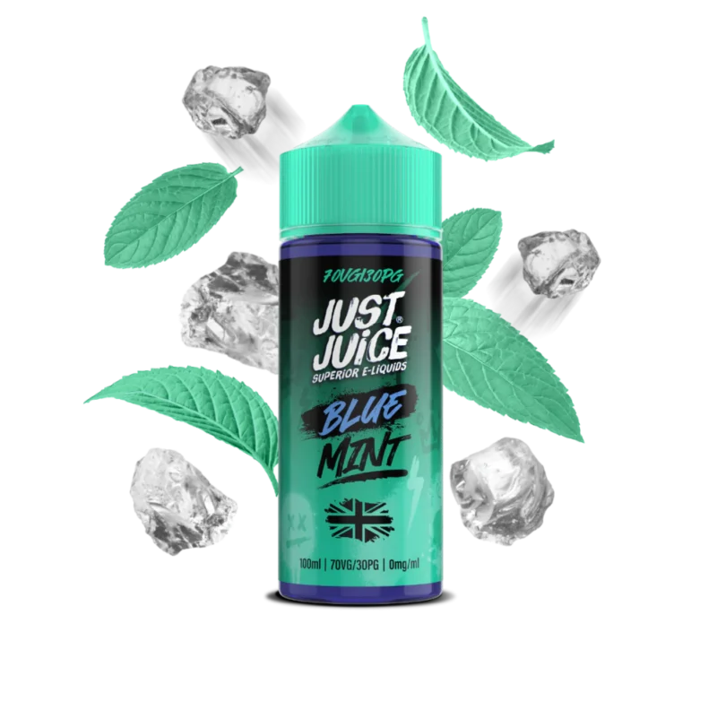Blue Mint Just Juice 100ml